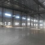 Cho thuê xưởng 19000m2 KCN Nhơn Trạch 2, Huyện Nhơn Trạch, Đồng Nai