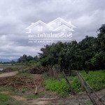 bán đất suối lau, suối cát, 22 tỷ, 4200m2 đất vườn, pháp lý đầy đủ, uy tín bao đẹp