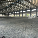 cho thuê kho xưởng kcn hải sơn, long an, khuôn viên: 5.000m2, xây dựng: 2.500m2, pccc tự động