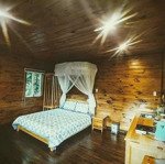 bán farmstay nghỉ dưỡng view săn mây tại trung tâm đà lạt, có sẳn nhà gỗ giá cắt lỗ