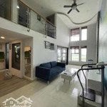 cho thuê căn hộ duplex 3pn la astoria