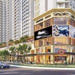 shophouse vung tau centre point mua từ cđt , 343m2 tại khu đô thị chí linh, vũng tàu, 54 triệu/m2