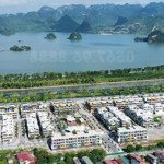 mở bán liền kề, biệt thự flamingo golden hill hà nam cạnh khu du lịch tam chúc sổ đỏ lâu dài