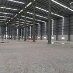 Cho Thuê 10.000M2 Kho Xưởng Thạnh Hóa 60k/m2