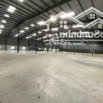 Cho Thuê 11.500m2 Nhà Xưởng Trong KCN Bình Dương DT Đất 22.000m2