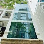 bán nhà riêng 39m2, 11,6 tỷ, thông,kd,view đẹp tại mai dịch, cầu giấy, hà nội