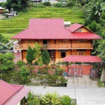 bán homestay 270m2 thổ cư sa pa, 4,5 tỷ, tổng 500m2, siêu hot uy tín cách trung tâm chưa đến 10km