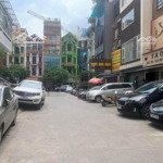 chính chủ bán 50m2 đất ngõ 36 giang văn minh - kim mã - cách phố 50m, có giấy phép xd 5 tầng