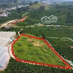 7000m2 đất ven đà lạt bám 350m mặt tiền, sổ hồng giá chỉ 2 tỷ 580tr