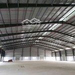 cho thuê kho xưởng bến lức, long an, khuôn viên : 5.000m2, nhà xưởng : 3.600m2, pccc tự động