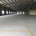 cho thuê kho xưởng mới xây - bến lức, long an, khuôn viên: 8.000m2, xưởng: 7.200m2, pccc tự động