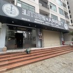 kiều trinh - shophouse 2b kiot 20 chủ bán gấp khi về vn || shophouse mường thanh viễn triều