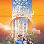 nhận booking căn hộ toà ct2, toà đẹp nhất trong 3 toà dự án noxh 384 lê thánh tông