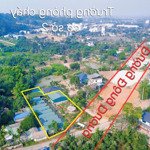 chuyển nhượng dt: 1.500m - 400m thổ cư.
bám đường đông dương 38m