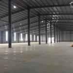 Bán Xưởng 13.000m2 Bàu Bàng Bình Dương