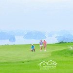 chuyển nhượng dự án sân golf 18 hố flc hạ long golf club & resort quảng ninh