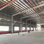 Cho Thuê 3.900m2 Kho Xưởng Ngoài KCN Mỹ Phước Bến Cát BD DT Đất 8.300m2