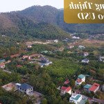 lâm phong thịnh 286.000 usd - 1500m2 tại 35 minh phú, sóc sơn, hà nội, giá cực chất 7,5 triệu /m2