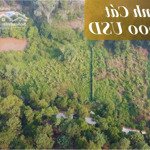 địa linh cát 1.300.000usd tại nam sơn, sóc sơn, hà nội, 2,3 triệu/m2, 16.000 m2