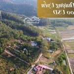 an lâm thượng uyển - 450.000usd tại nam sơn, sóc sơn, hà nội, giá net 3,5 triệu / m2, 5000 m2