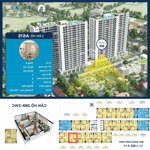 hiện tại em có 3 căn hộ độc quyền tầng 6 siêu vip tòa a - chung cư bình an plaza thanh hóa, cần bán