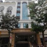 cho thuê nhà mặt phố trường chinh, 540m2 9 tầng mặt tiền 10m, đống đa, hà nội liên hệ 0931503262