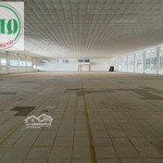 cho thuê nhà xưởng 17.500m2 tại ccn bảy mẫu, bình dương