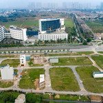 100m2 đất dịch vụ mặt đường 50m tại an thượng -vị trí vàng cho nhà đầu tư