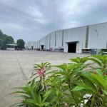 cho thuê xưởng khuôn viên riêng 21000m2.pccc tự động đầy đủ giấy tờ,tân uyên ,bình dương