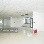 tìm khách thuê tại tầng 6 tòa nhà taiyo building 97 bạch đằng, hải phòng