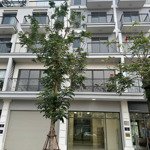 chính chủ cho thuê 2 shophouse liền nhau 75m2 tại the manor central park