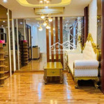 chung cư ruby garden full nội thất cao cấp 2pn 2wc nguyễn sỹ sách, p15, q. tân bình