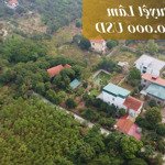 minh nguyệt lâm - 560.000usd - 2200m2 tại minh phú, sóc sơn, hà nội, giá 10 triệu/m2