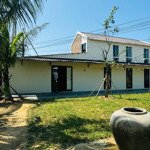 hàng sập - bán nhanh trước tết. homestay (cả đất và nguyên căn homestay 6 phòng mà chỉ có 900k/m2)