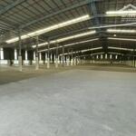 Bán xưởng 10000m2 KCN Long Hậu, Huyện Cần Giuộc, Long An