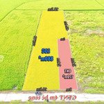 bán đất đẹp tại đường đan, xã lạc tấn, tân trụ, long an, 1,22 tỷ, 1000 m2