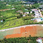 519m2, 100m2 thổ cư ngay chợ lộc quãng, giá 1,250 tỷ