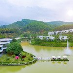 bán nhanh biệt thự ivory hòa bình view hồ 250m2 giá siêu đẹp