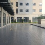 cho thuê cc 2pn, 2wc tại tecco felice tower, 4,5 triệu, 61m2, tân uyên, bd