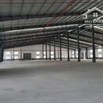 Cho Thuê Xưởng Mặt Bằng 1000M2 Giá Bán 30 Triệu/ , Xe Cont Đường Lê Thị Trung, Thuận Giao, Thuận An