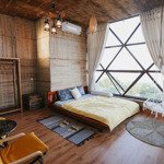 bán homestay phong cách họi an, có hồ bơi - sân vườn chỉ 4,9 tỷ.