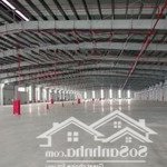 kho xưởng kcn phố nối a, 1000 đến 30.000m2, mới 100%, pccc tiêu chuẩn, dock cont, 60nghìn/m2/th