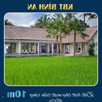 khai xuân đầu năm - mở bán đất khu biệt thự bình an - lì xì 1c vàng 9999