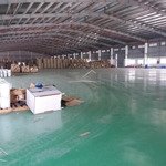 cho thuê kho, xưởng mới và đẹp khu yên mỹ, hưng yên dt 500m2 1000m2 150.000m2 khuôn viên riêng biệt