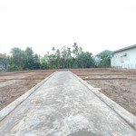 bán đất đẹp tại liên thôn, 480 triệu, 78 m2, thủy nguyên, hải phòng