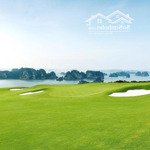 bán cắt lỗ gấp 2 căn biệt thự flc hạ long view sân golf