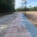 bán đất 250m2 tại nha bích, chơn thành, bình phước, giá cực chất 460 triệu