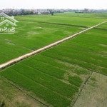 bán lô đất view lúa tại cẩm châu, hội an, diện tích hơn 200m2