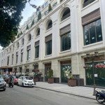 cho thuê nhà mặt phố lê thái tổ: 250m2, mặt tiền 20m. thông sàn, nhà đẹp, thích hợp mọi mô hình