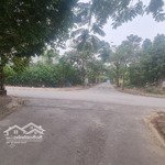 nhà lô góc 3 mặt thoáng kdg kiến hưng, kinh doanh, view đẹp, 64m, 4 tầng, chỉ quanh 14 tỷ